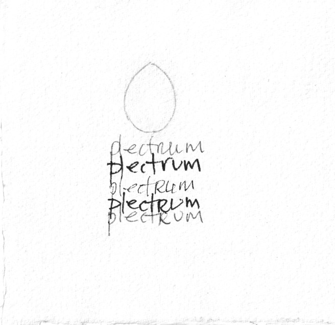 plectrum